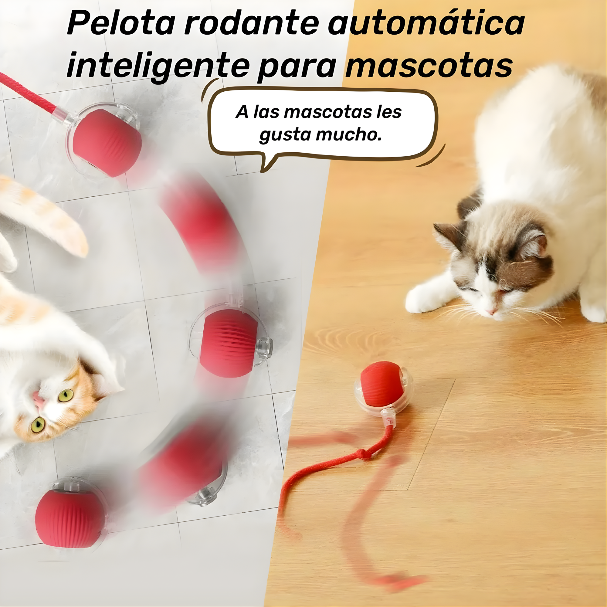 Pelota Inteligente para gatos