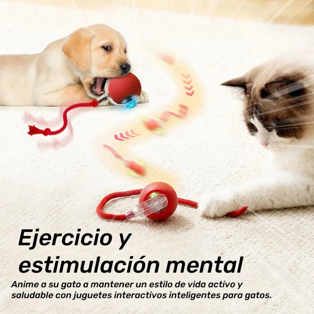 Pelota Inteligente para gatos